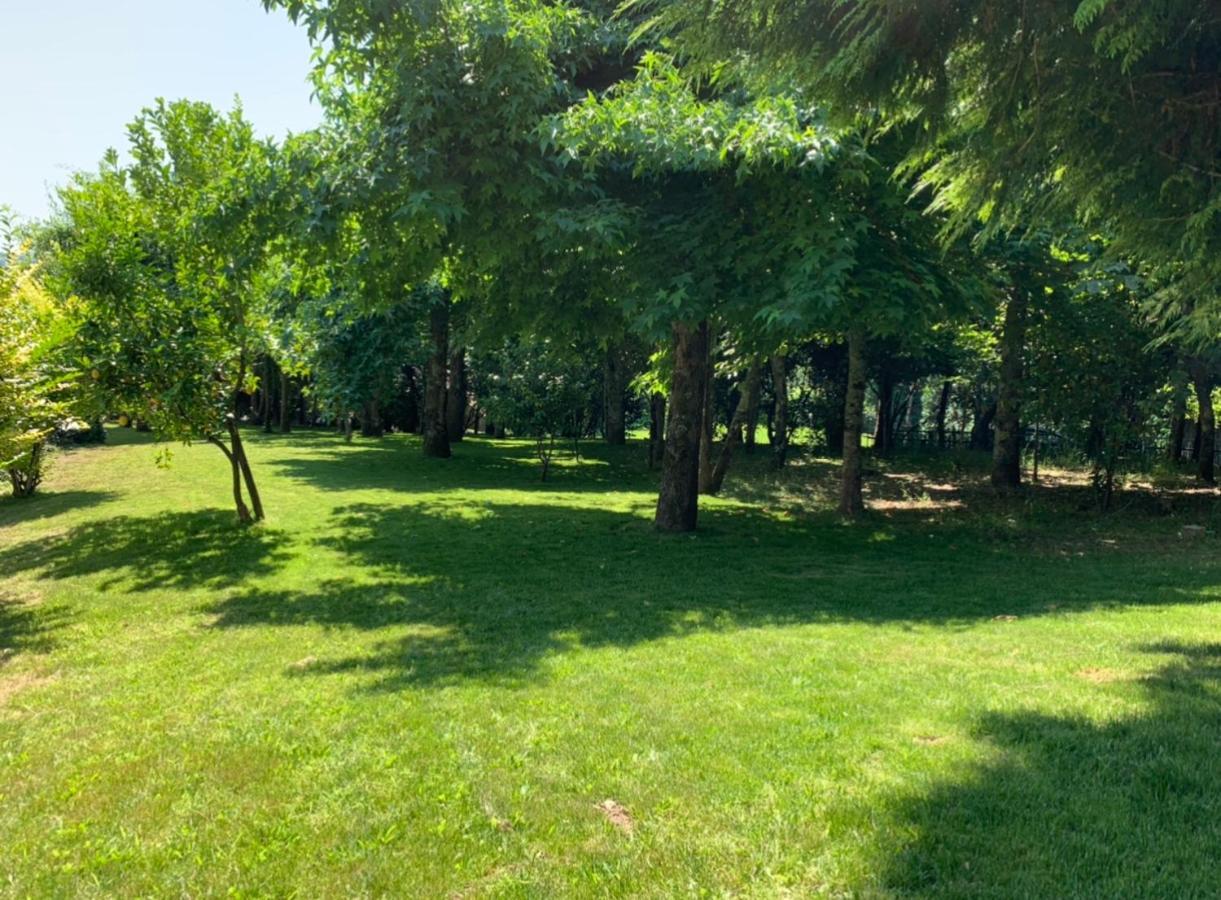 Casas Do Souto Guest House โลซาดา ภายนอก รูปภาพ